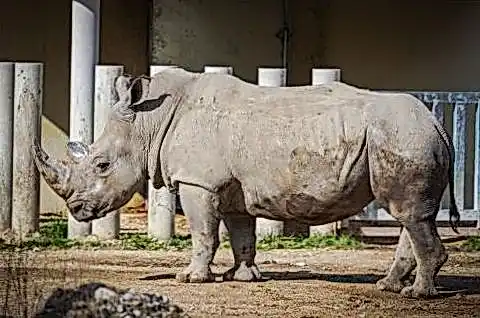 Буй зеркало e8e18c